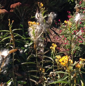 Prevent Nature Deficit Disorder