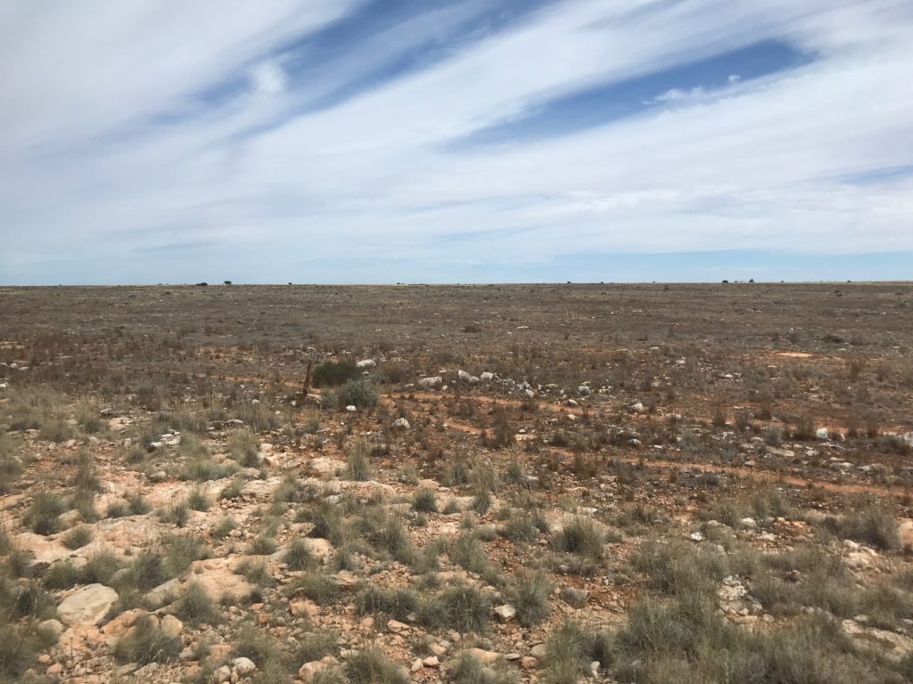 Nullarbor Plain