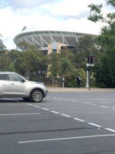 cricket oval