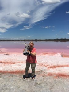 pink lake