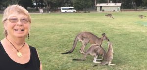 kangaroos