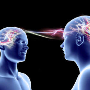 mirror neurons 