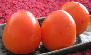 three persimmons