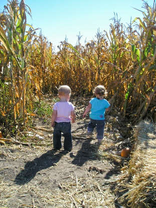 October: Jack-o-Lanterns, Pumpkin Pie, and a Corn Maze