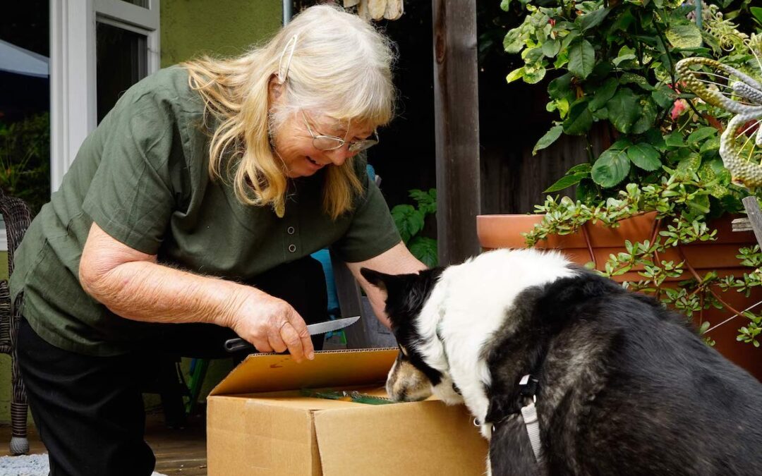 Opening box with dog