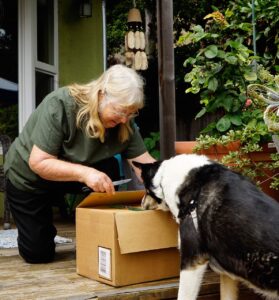 Opening box with dog