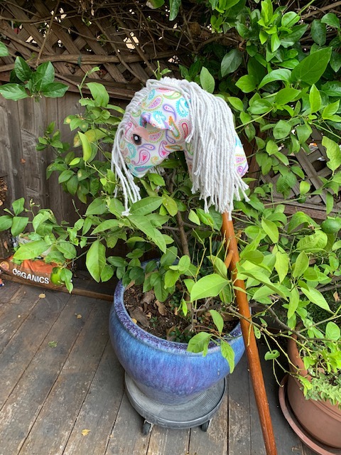 A Hobby Horse for My Granddaughter